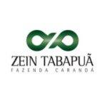 Logomarca Zein Tabapuã