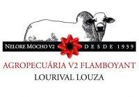 Logomarca Agropecuária V2 Flamboyant Lourival Louza