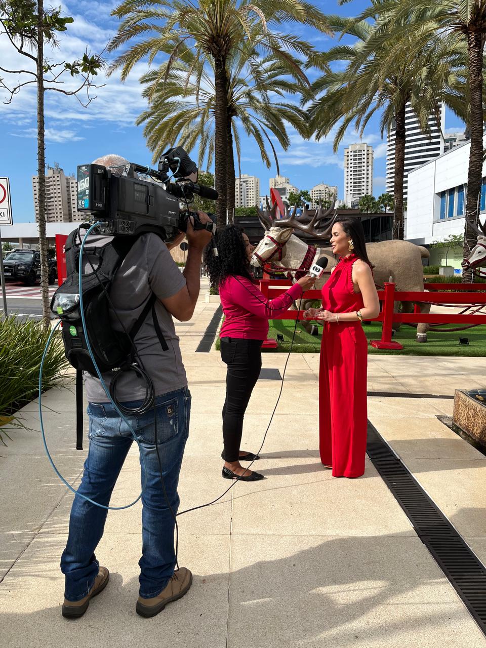 Campanha natal flamboyant (1)